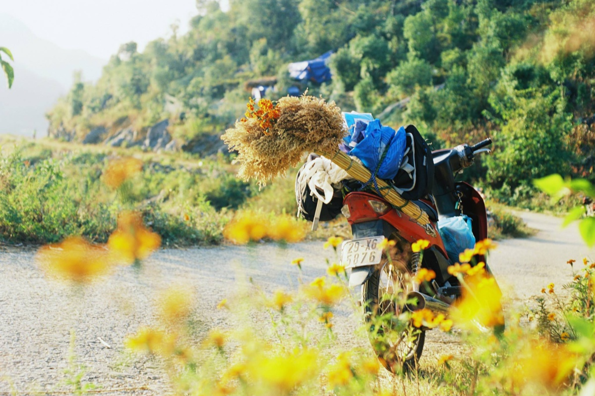 Winding road in Ha Giang Loop